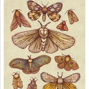 Meet your Posher, Jillian